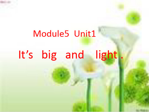 五年级下册英语精品pptModule5Unit1 It's big and light. 外研版(三