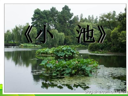 人教部编版一年级下册语文课件-12.古诗二首《小池》(共24张PPT)