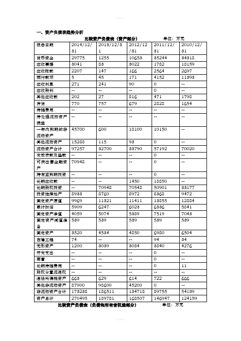 广东明珠公司财务报表分析报告-正本