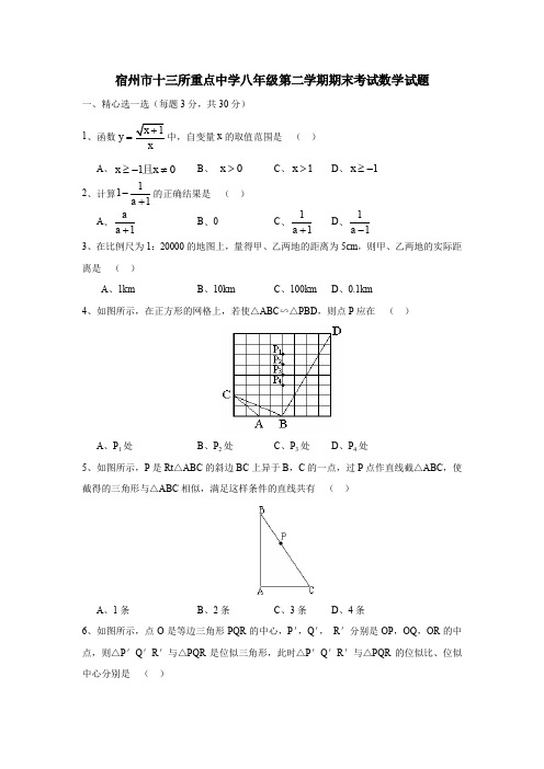 宿州市十三所重点中学八年级第二学期期末考试数学试题