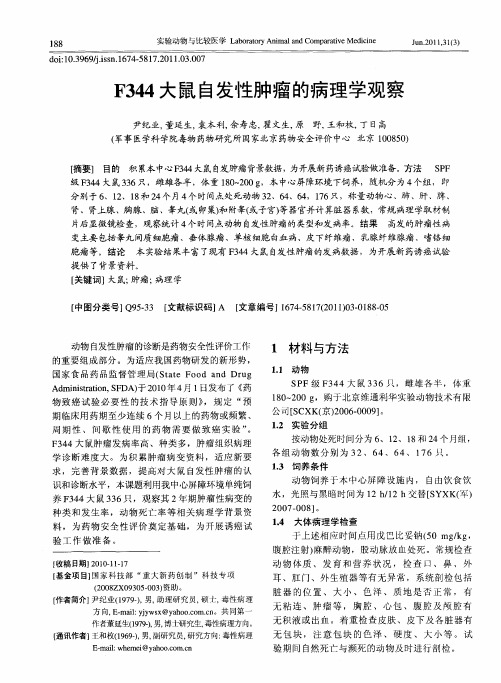 F344大鼠自发性肿瘤的病理学观察