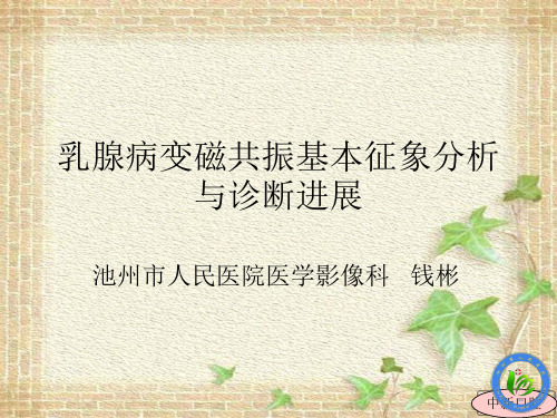 乳腺病变磁共振基本征象分析