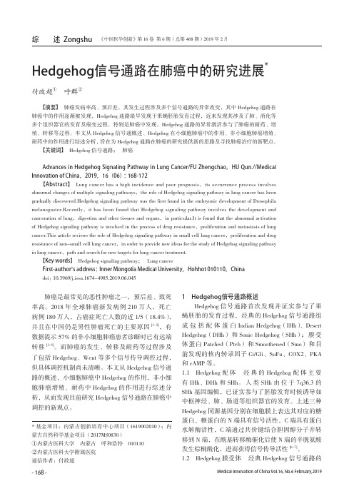 Hedgehog信号通路在肺癌中的研究进展