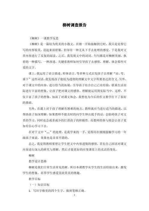 柳树调查报告