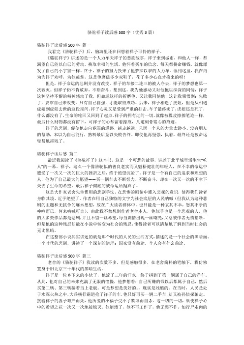 骆驼祥子读后感500字(优秀3篇)