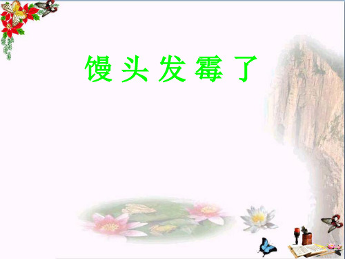 六年级科学上册馒头发霉了PPT课件2