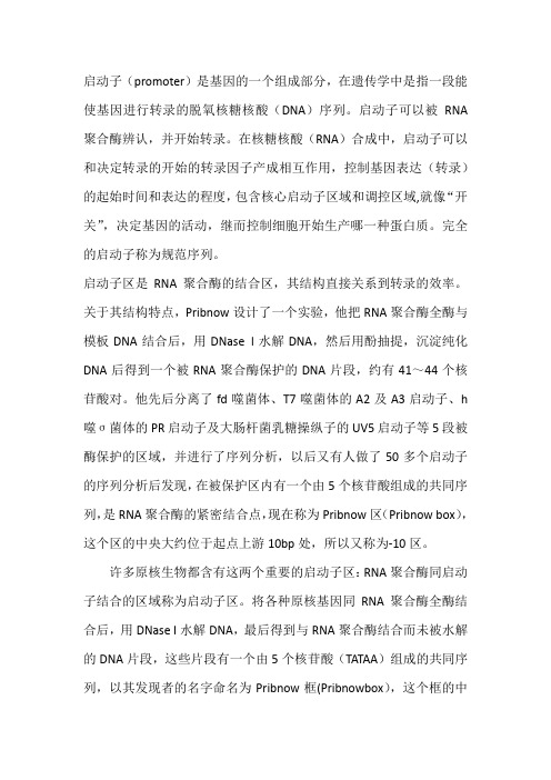 启动子