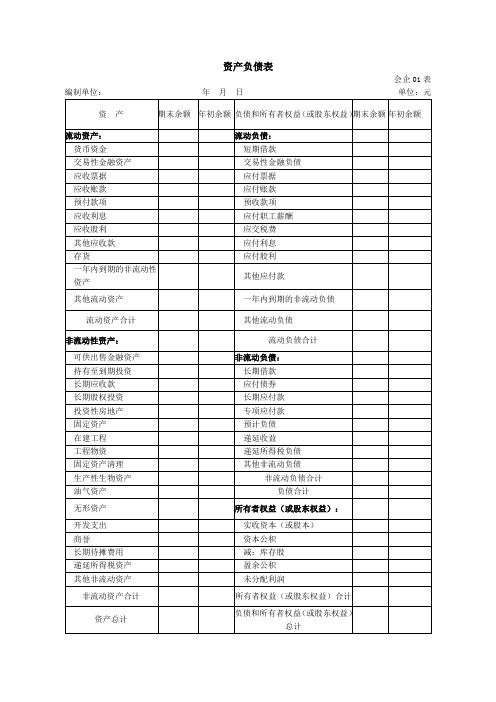 资产负债表(中小企业标准版)