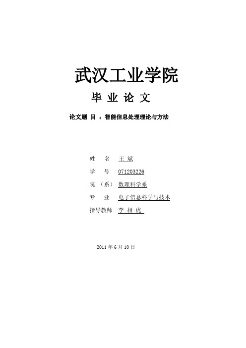 智能信息处理理论与方法