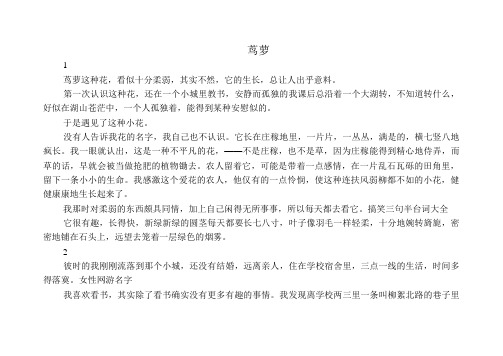 美文欣赏：茑萝