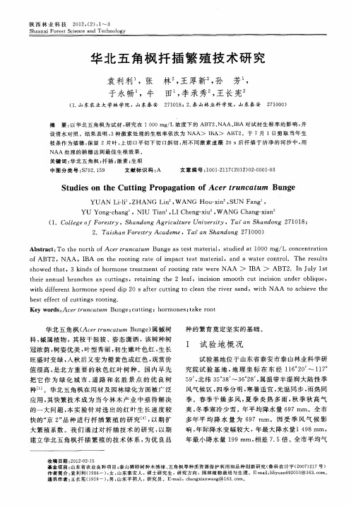 华北五角枫扦插繁殖技术研究