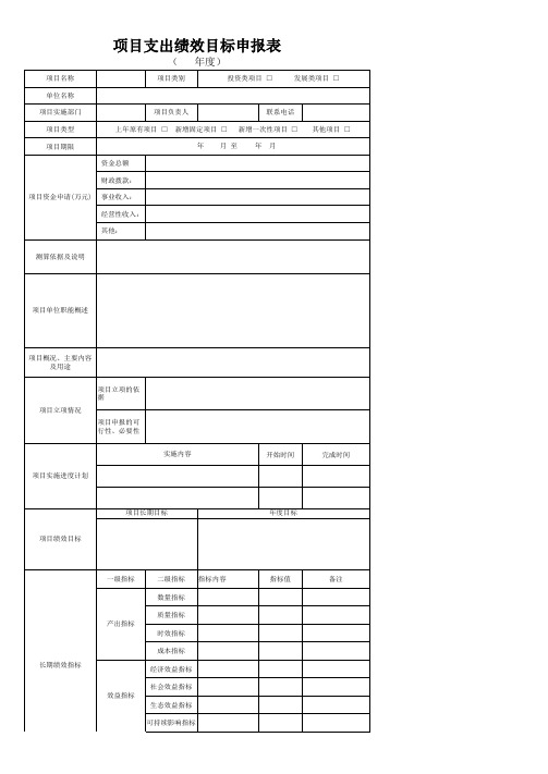 绩效目标申报表