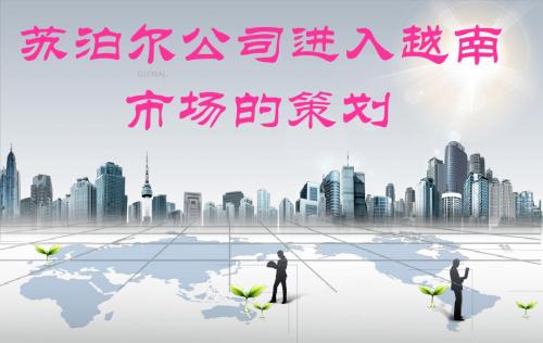 苏泊尔公司进入越南市场的策划