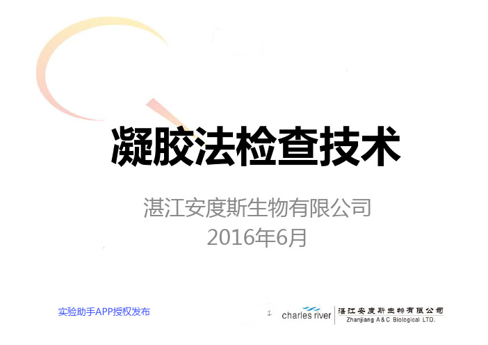 凝胶法检查技术