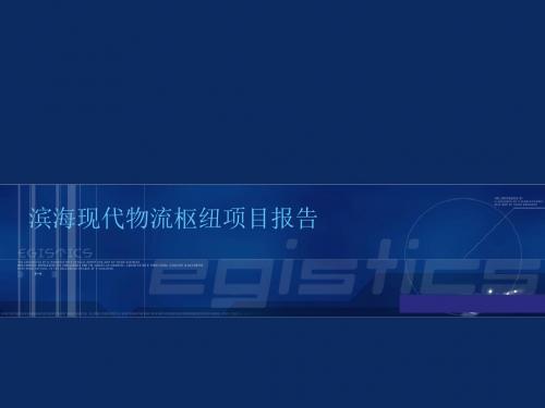 现代物流枢纽项目报告(PPT 28张)