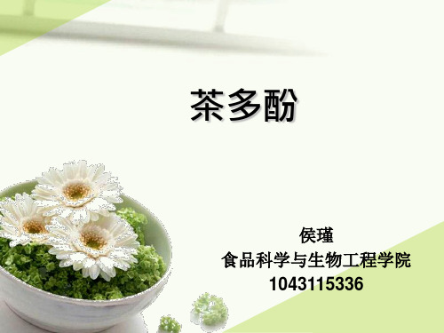 茶多酚-食品添加剂课件