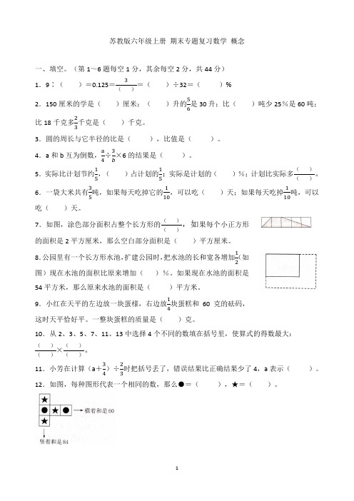 苏教版六年级数学上册期末专题复习数学概念1
