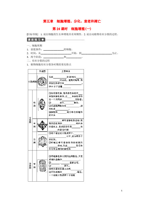 新高中生物 第五章 第24课时 细胞增殖(一)课时作业(含解析)苏教版必修1