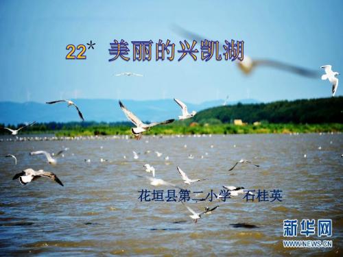 22美丽的兴凯湖课件2