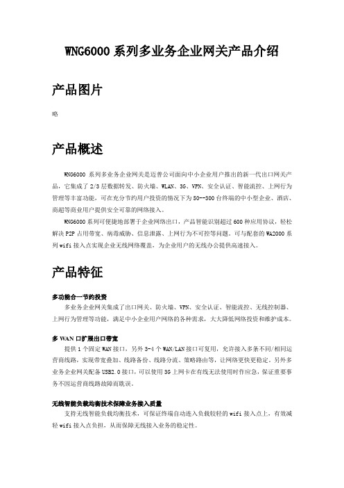 WNG6000系列多业务企业网关产品介绍