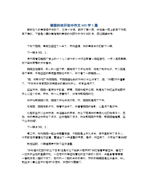 寒假的收获初中作文600字5篇