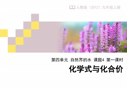最新初中人教版化学人教九年级上册化学式与化合价课件(第1课时)