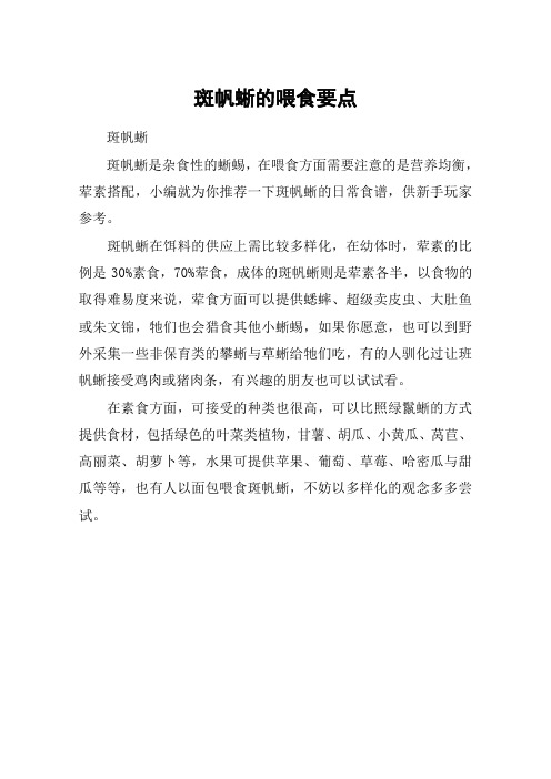 斑帆蜥的喂食要点