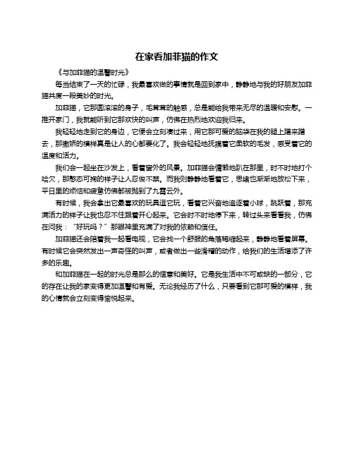 在家看加菲猫的作文