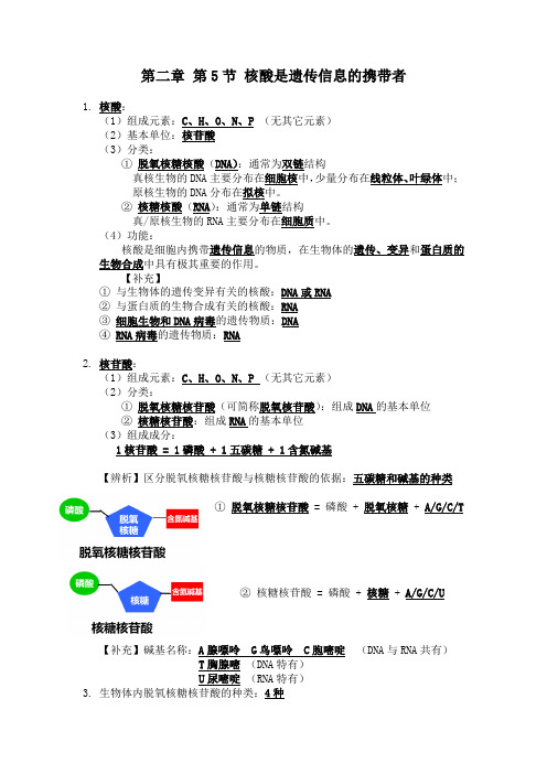 核酸是遗传信息的携带者知识清单-高一上学期生物人教版必修1