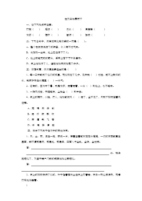 沪教版语文九上在烈日和暴雨下同步测试