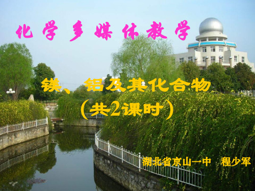 镁铝复习PPT教学课件