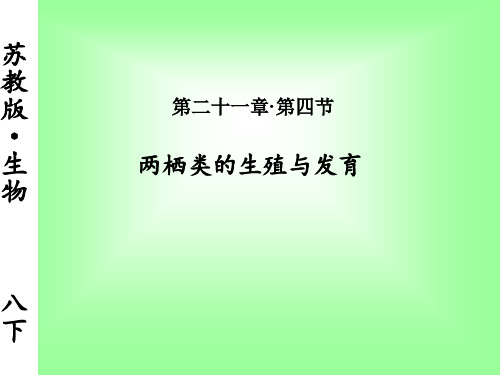 苏教版生物八年级下册21.4 两栖类的生殖与发育 课件 (共28张PPT)