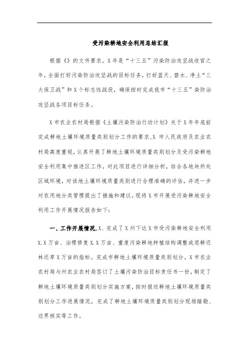 受污染耕地安全利用总结汇报