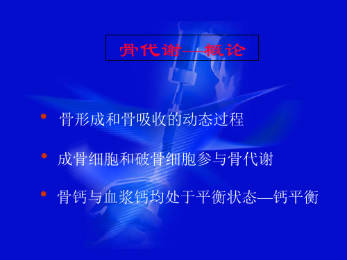 骨代谢 (1)