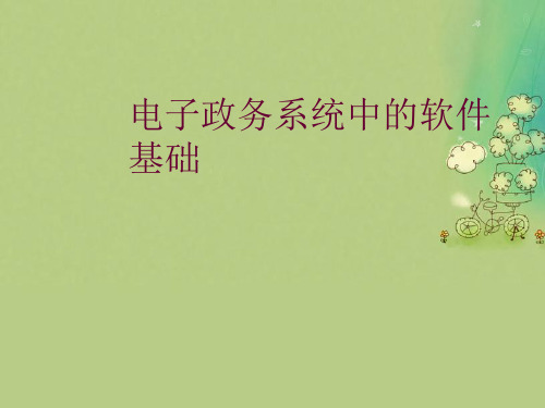 电子政务系统中的软件基础优秀PPT