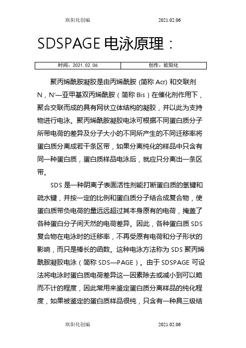 SDS-PAGE分离胶配方表-及其原理之欧阳化创编