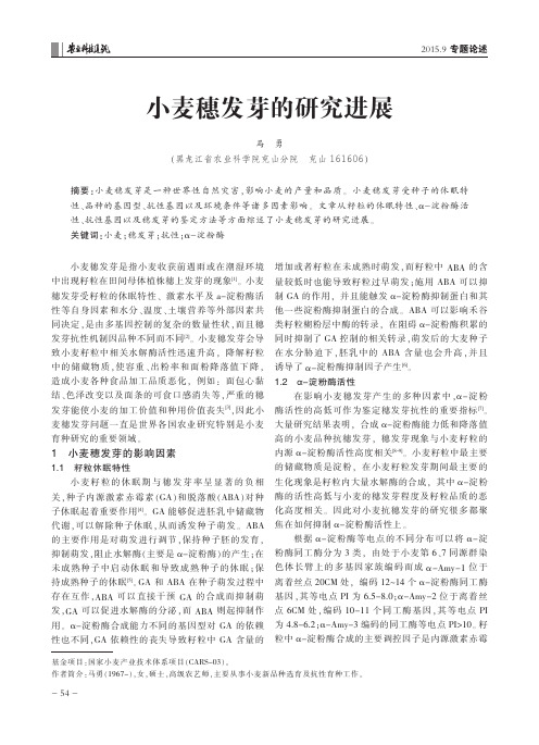 小麦穗发芽的研究进展