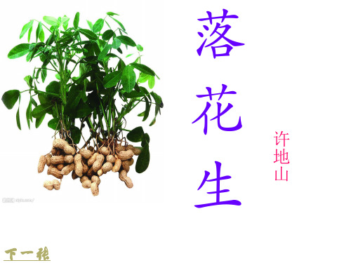 北师大版小学语文四年级上册 《落花生》教学课件(1)