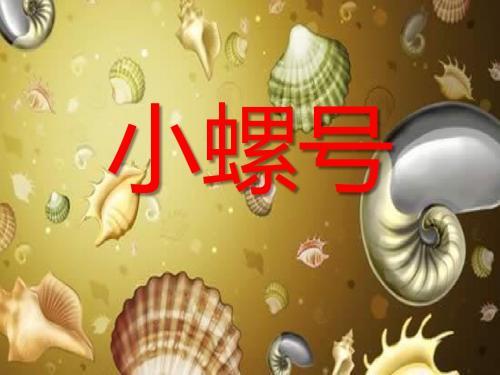 小螺号_PPT优秀课件2