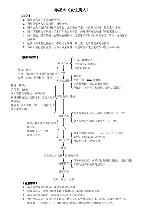 导尿术(女性病人)