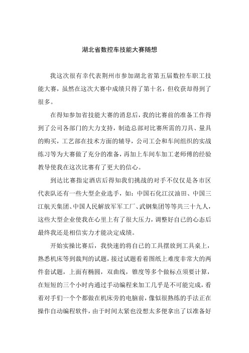 胡大伟湖北省数控车技能大赛感想