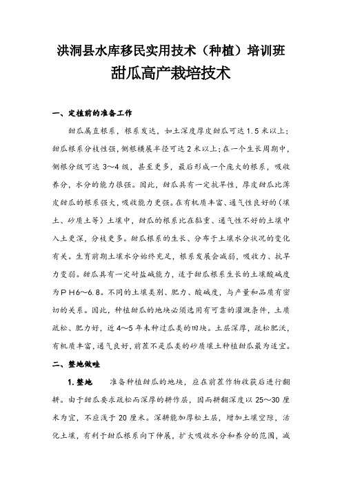 甜瓜高产栽培技术 2