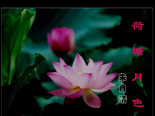 《荷塘月色》优秀课件ppt