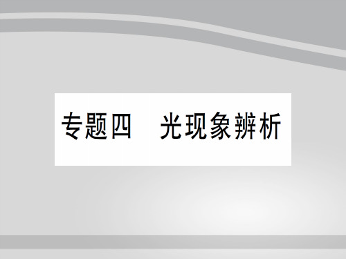 第四章 专题四 光现象辨析—2020年秋沪科版八年级上册物理课件