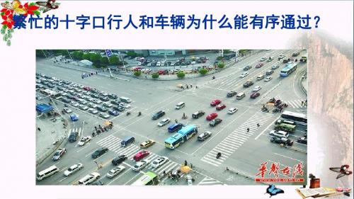 生活需要法律PPT课件1 人教版(21张)