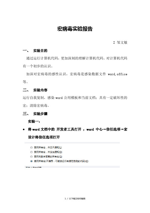 宏病毒实验报告