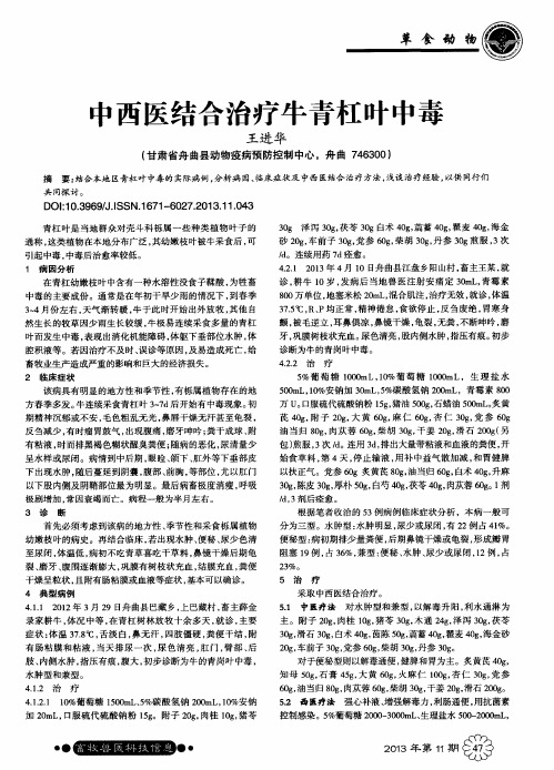 中西医结合治疗牛青杠叶中毒