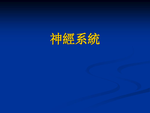 学前儿童卫生与保健课件：神经系统