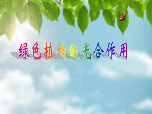 济南版七年级生物上册2.1.4《绿色植物的光合作用和呼吸作用》(复习资料)(共41张PPT)