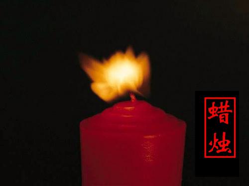 八年级上册《蜡烛》配套练习册 答案